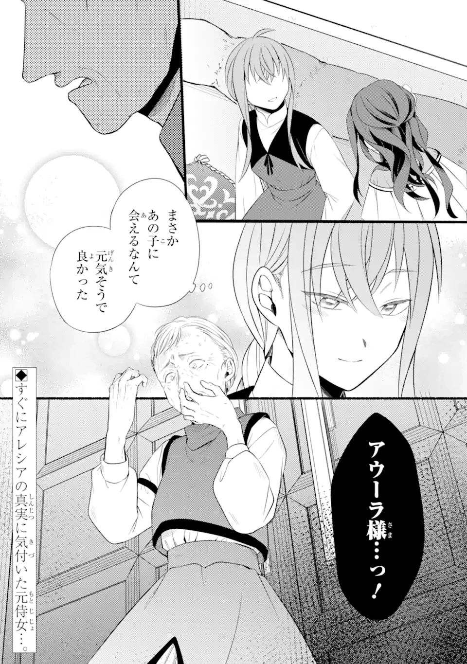 砂漠の国の雨降らし姫～前世で処刑された魔法使いは農家の娘になりました～ 第16.3話 - 11