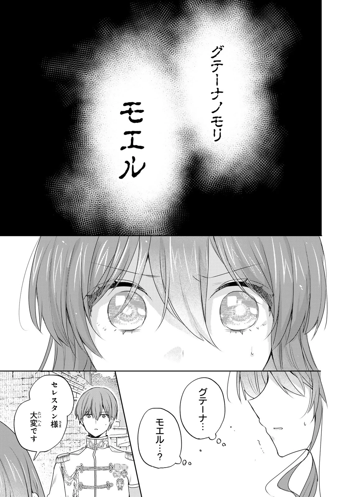 聖女様をお探しでしたら妹で間違いありません。さあどうぞお連れください、今すぐ。 第18.2話 - 7