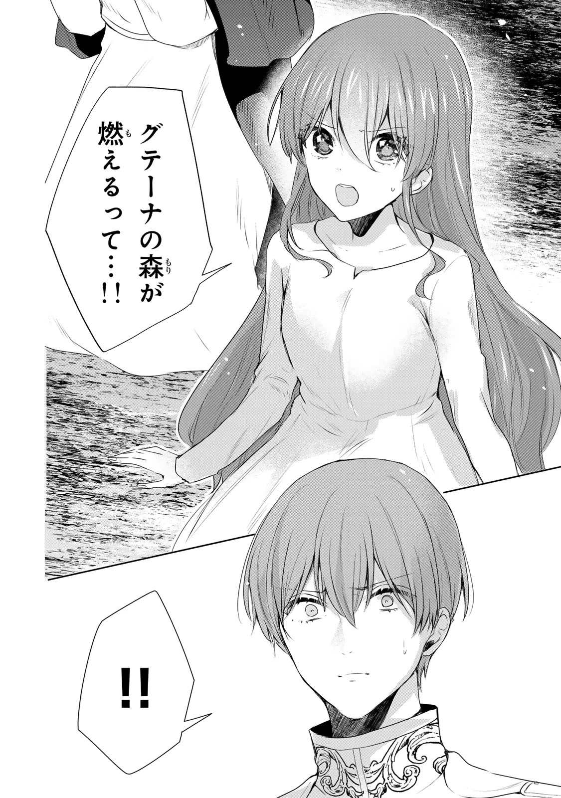 聖女様をお探しでしたら妹で間違いありません。さあどうぞお連れください、今すぐ。 第18.2話 - 8