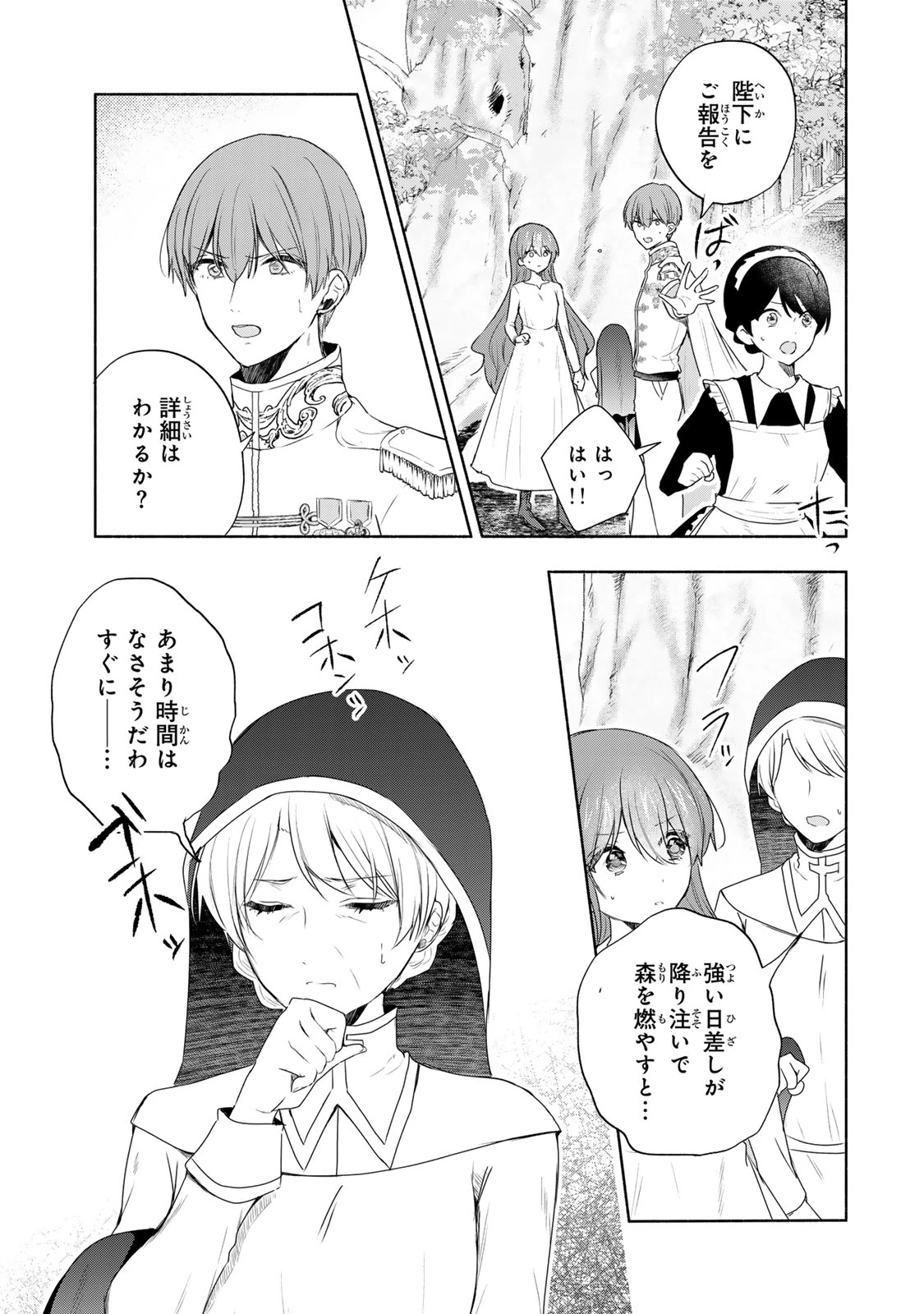 聖女様をお探しでしたら妹で間違いありません。さあどうぞお連れください、今すぐ。 第18.2話 - 9