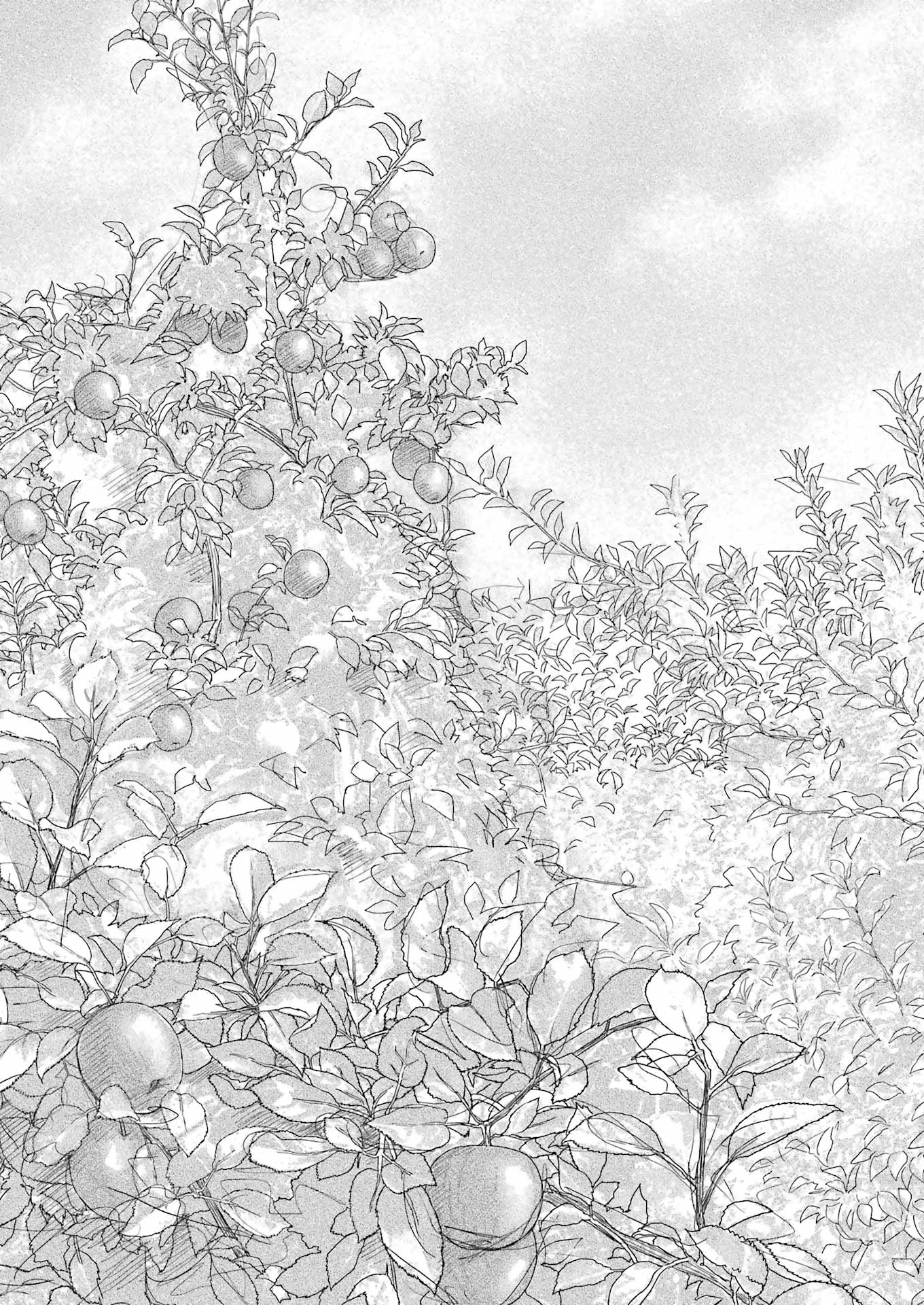 オーガクラフト 第1話 - 31