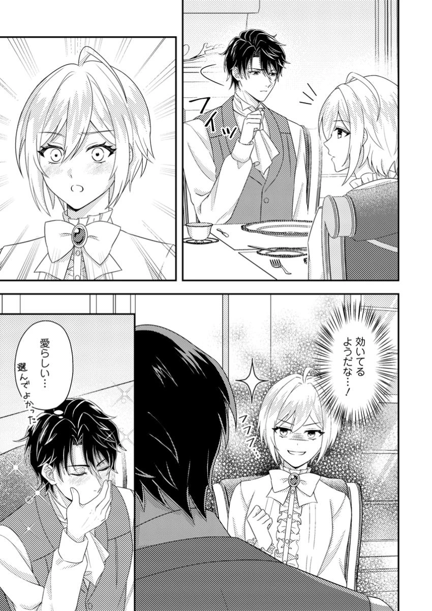 男装王女の悪妻計画～旦那様がぜんぜん離婚に応じてくれません～ 第5.1話 - 9