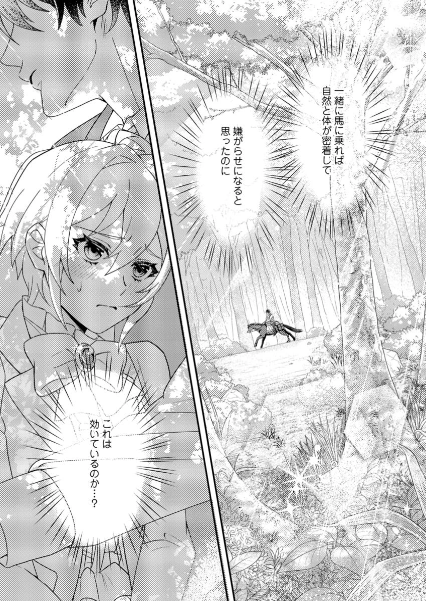 男装王女の悪妻計画～旦那様がぜんぜん離婚に応じてくれません～ 第5.1話 - 11