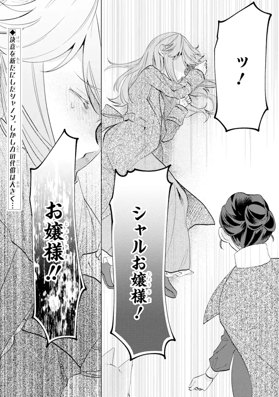 お飾りの皇妃?なにそれ天職です! 第5.4話 - 12