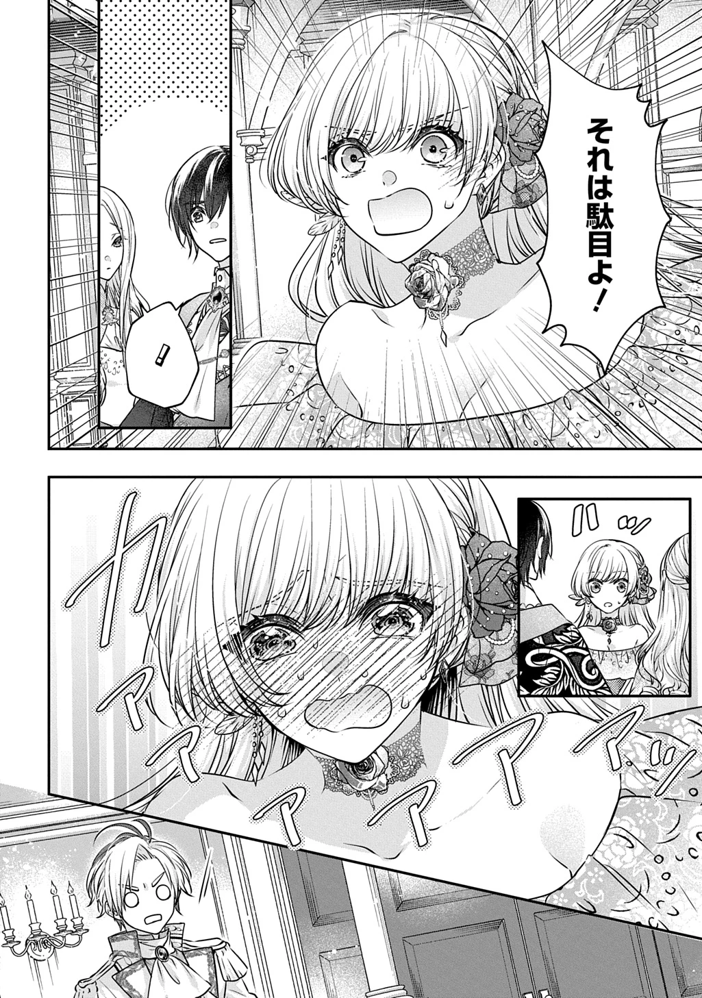 悪役令嬢に転生したと思ったら、シンデレラの義姉でした ～シンデレラオタクの異世界転生～ 第26.2話 - 10