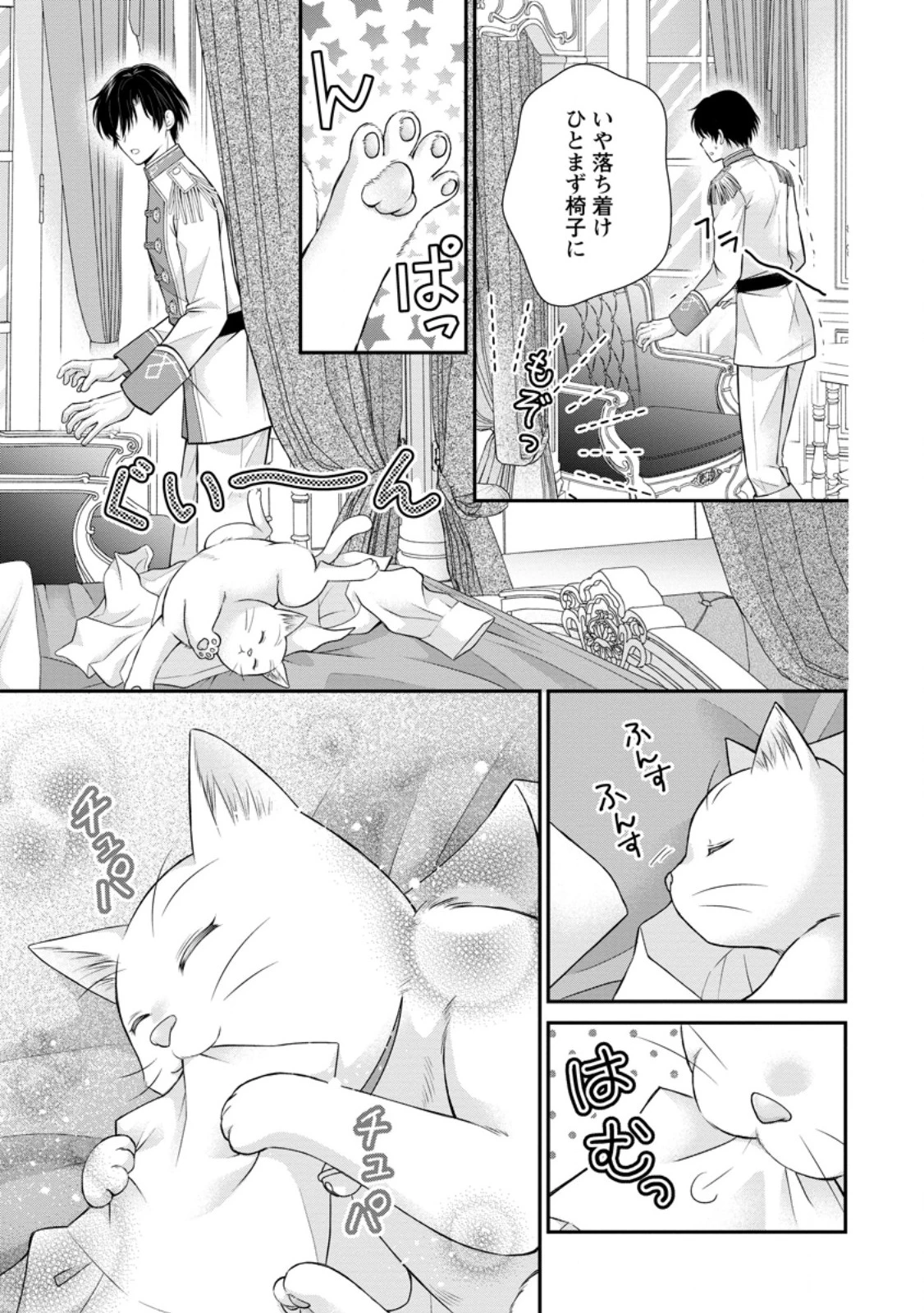 呪いで猫にされた悪女、王太子に拾われる。 第13.1話 - 11