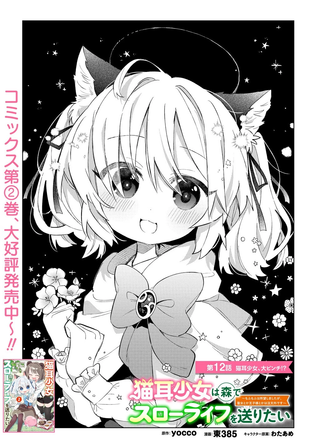 猫耳少女は森でスローライフを送りたい ～もふもふは所望しましたが、聖女とか王子様とかは注文外です～ 第12.1話 - 1