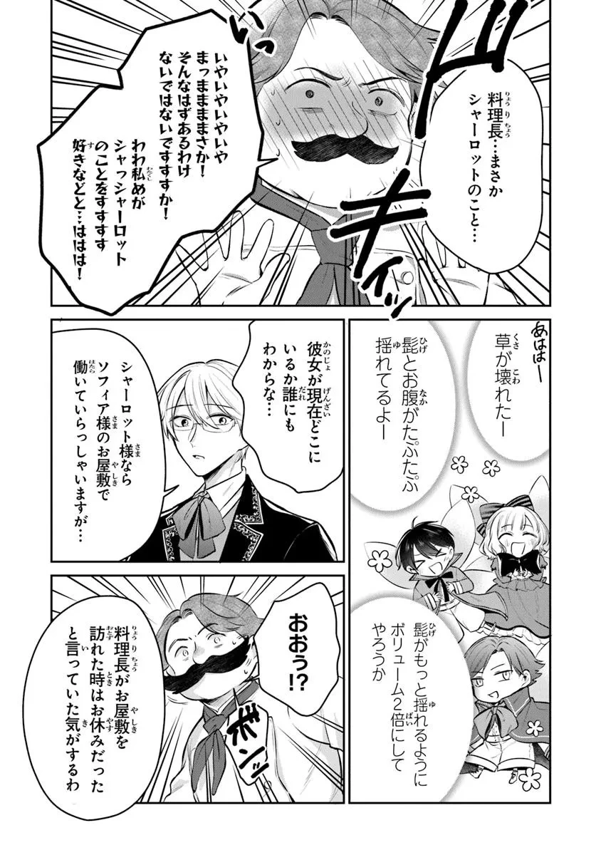 義妹が聖女だからと婚約破棄されましたが、私は妖精の愛し子です 第29.3話 - 7