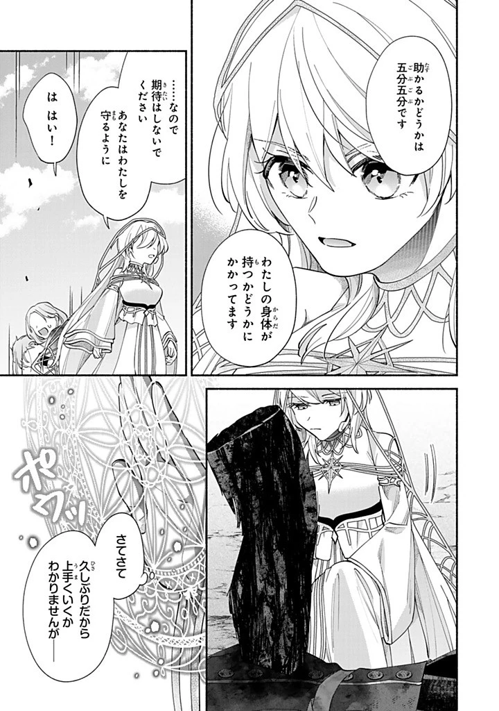 Akuyaku Seijo no Yarinaoshi 悪役聖女のやり直し 悪役聖女のやり直し ～冤罪で処刑された聖女は推しの英雄を救うために我慢をやめます～ 第12.4話 - 6