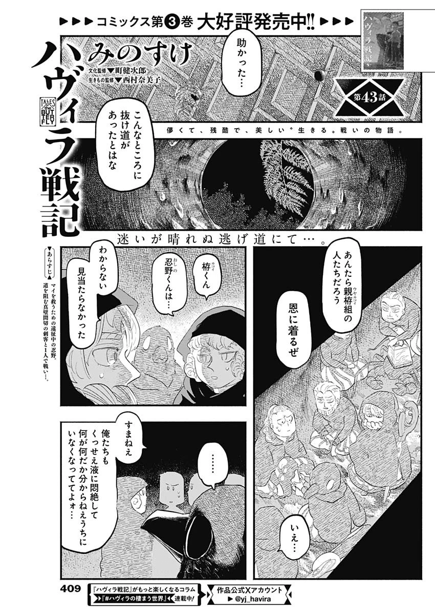 ハヴィラ戦記 第43話 - 1