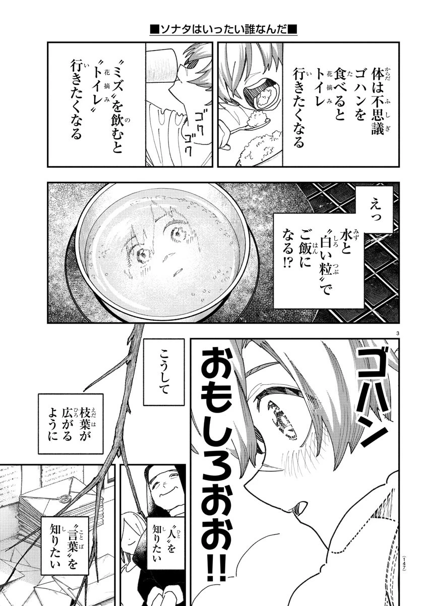 ソナタはいったい誰なんだ 第2話 - 3