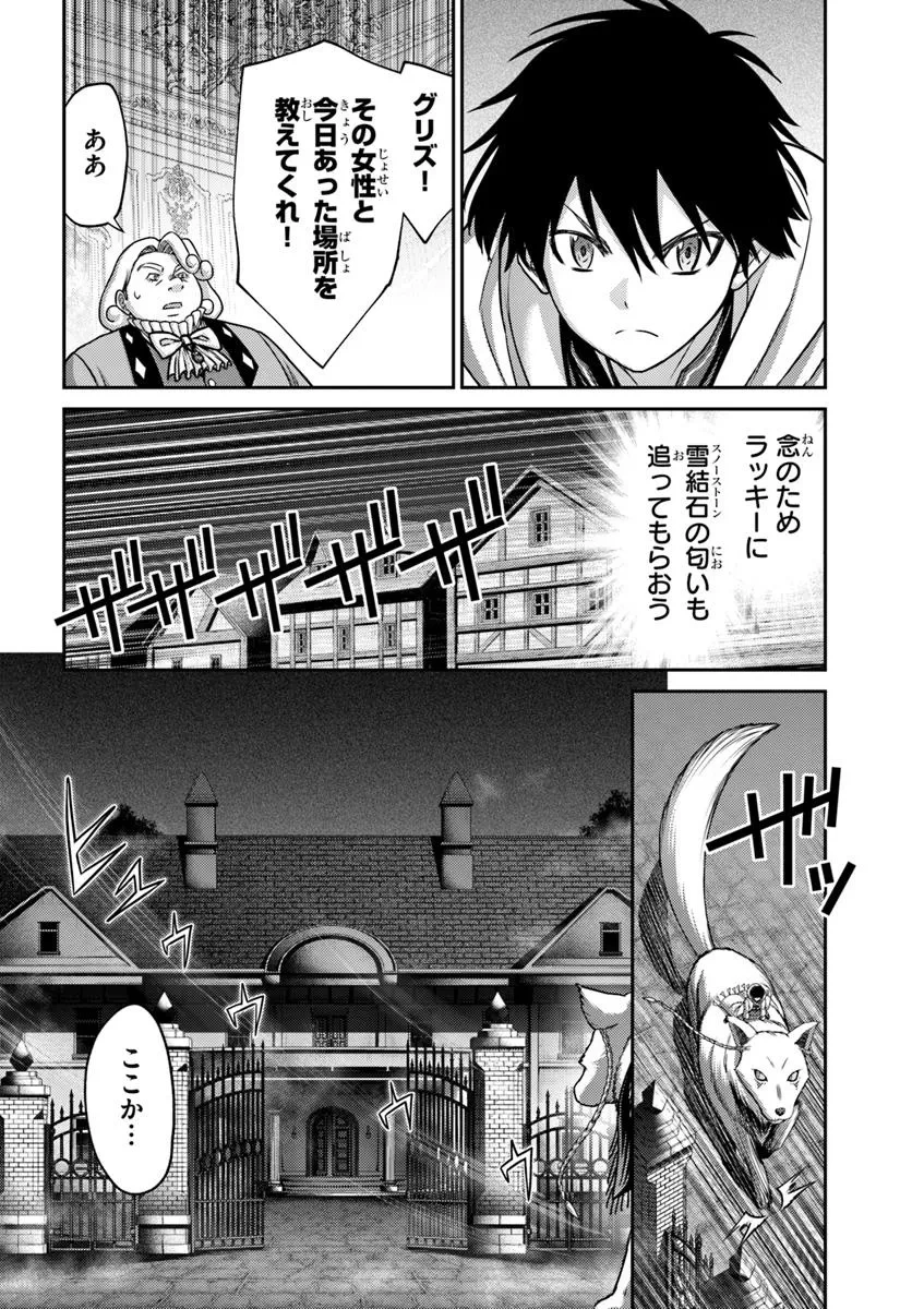 幼馴染のS級パーティーから追放された聖獣使い。万能支援魔法と仲間を増やして最強へ! 第49.1話 - 8