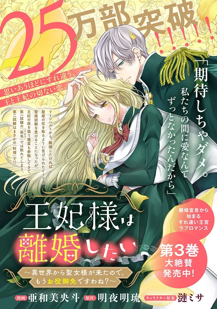王妃様は離婚したい～異世界から聖女様が来たので、もうお役御免ですわね？～ 第17.1話 - 11