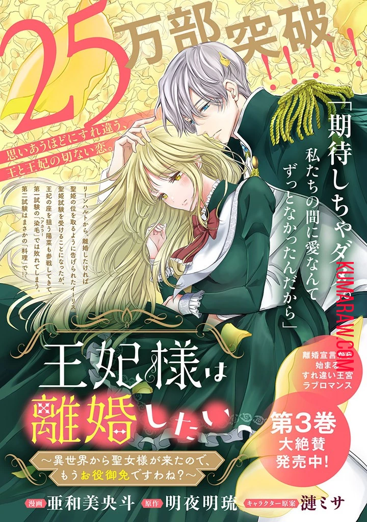 王妃様は離婚したい～異世界から聖女様が来たので、もうお役御免ですわね？～ 第16.2話 - 11