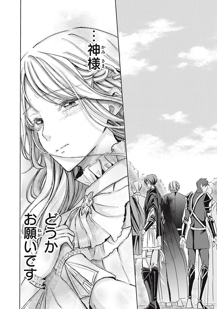 王妃様は離婚したい～異世界から聖女様が来たので、もうお役御免ですわね？～ 第14.3話 - 9