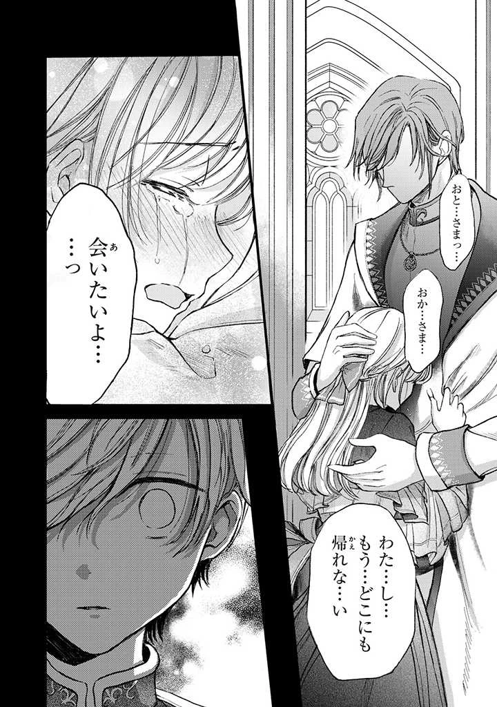 王妃様は離婚したい～異世界から聖女様が来たので、もうお役御免ですわね？～ 第11.3話 - 2