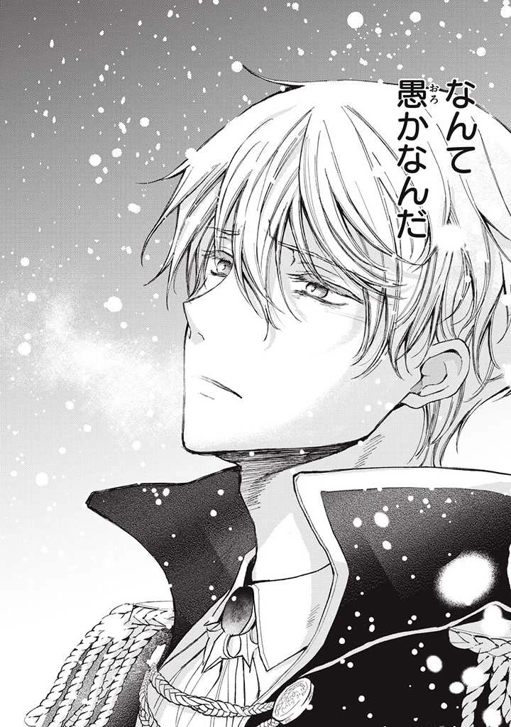 王妃様は離婚したい～異世界から聖女様が来たので、もうお役御免ですわね？～ 第11.3話 - 8