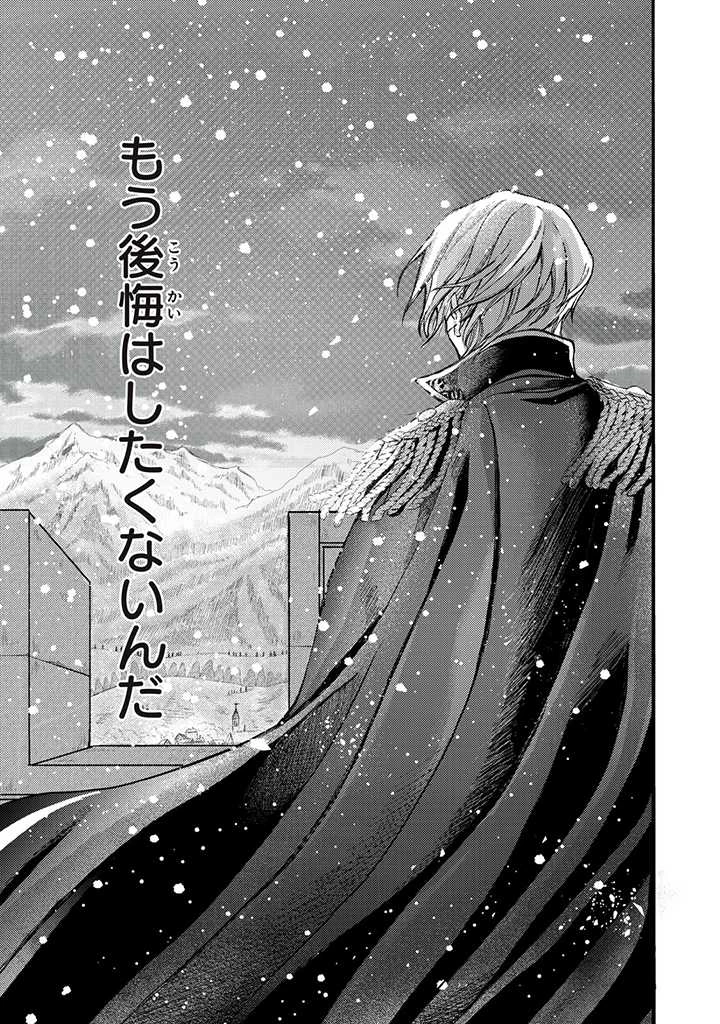 王妃様は離婚したい～異世界から聖女様が来たので、もうお役御免ですわね？～ 第11.3話 - 11