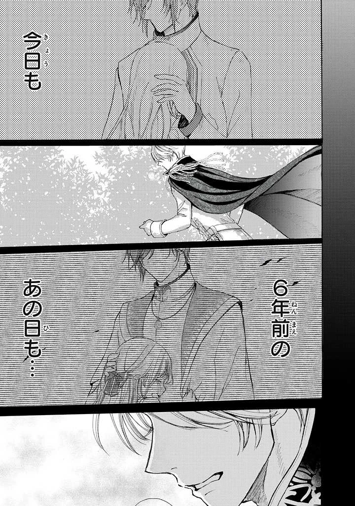 王妃様は離婚したい～異世界から聖女様が来たので、もうお役御免ですわね？～ 第10.3話 - 8