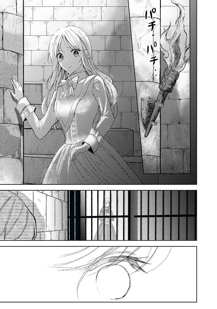 王妃様は離婚したい～異世界から聖女様が来たので、もうお役御免ですわね？～ 第10.2話 - 1