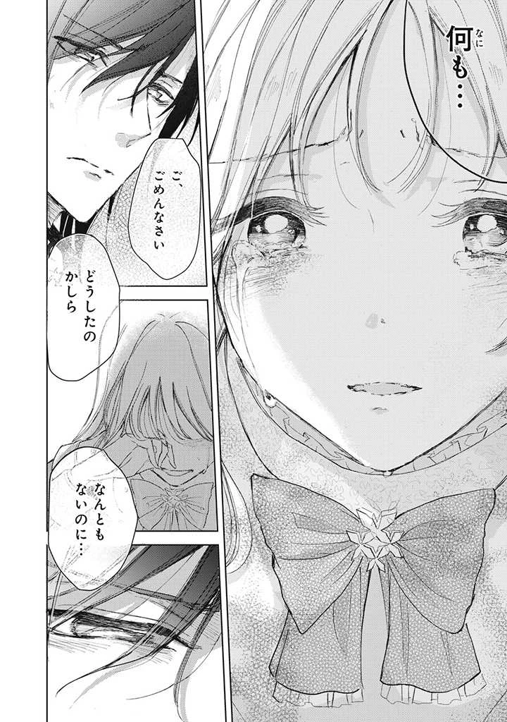 王妃様は離婚したい～異世界から聖女様が来たので、もうお役御免ですわね？～ 第10.2話 - 8