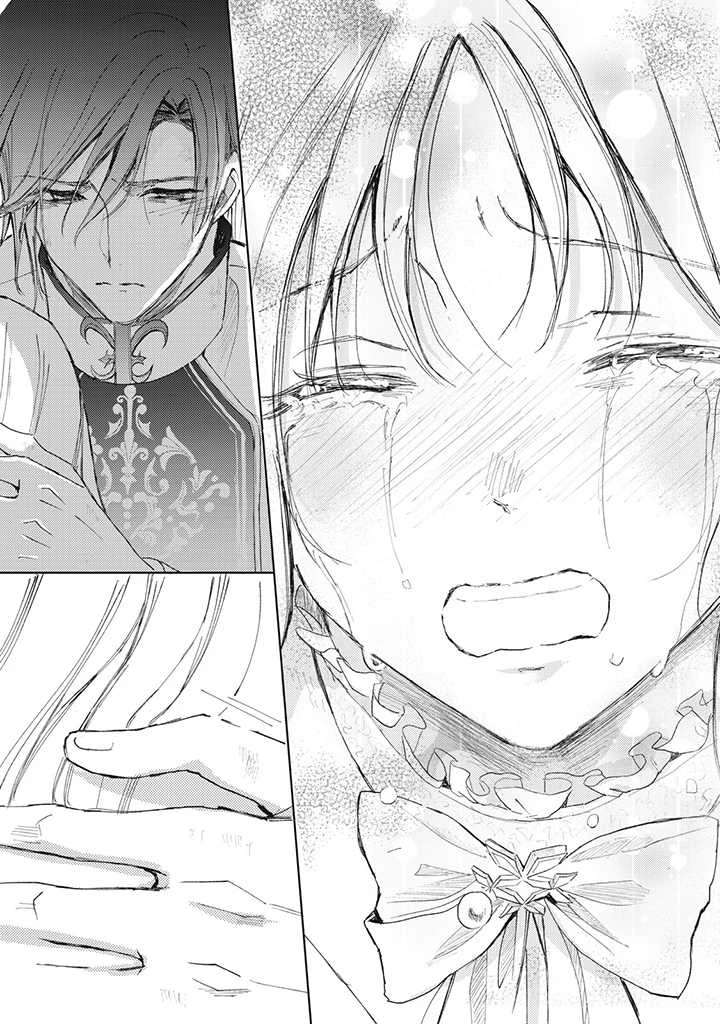 王妃様は離婚したい～異世界から聖女様が来たので、もうお役御免ですわね？～ 第10.2話 - 11