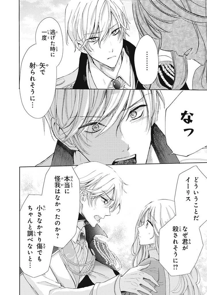 王妃様は離婚したい～異世界から聖女様が来たので、もうお役御免ですわね？～ 第9.3話 - 8