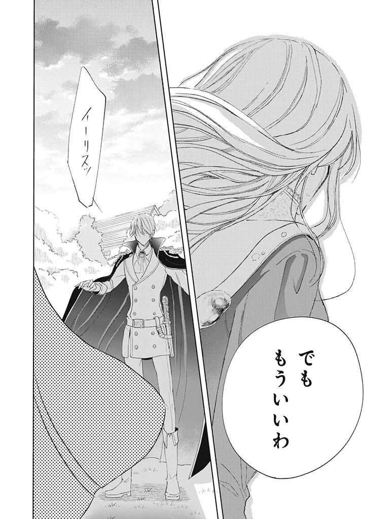 王妃様は離婚したい～異世界から聖女様が来たので、もうお役御免ですわね？～ 第9.3話 - 14