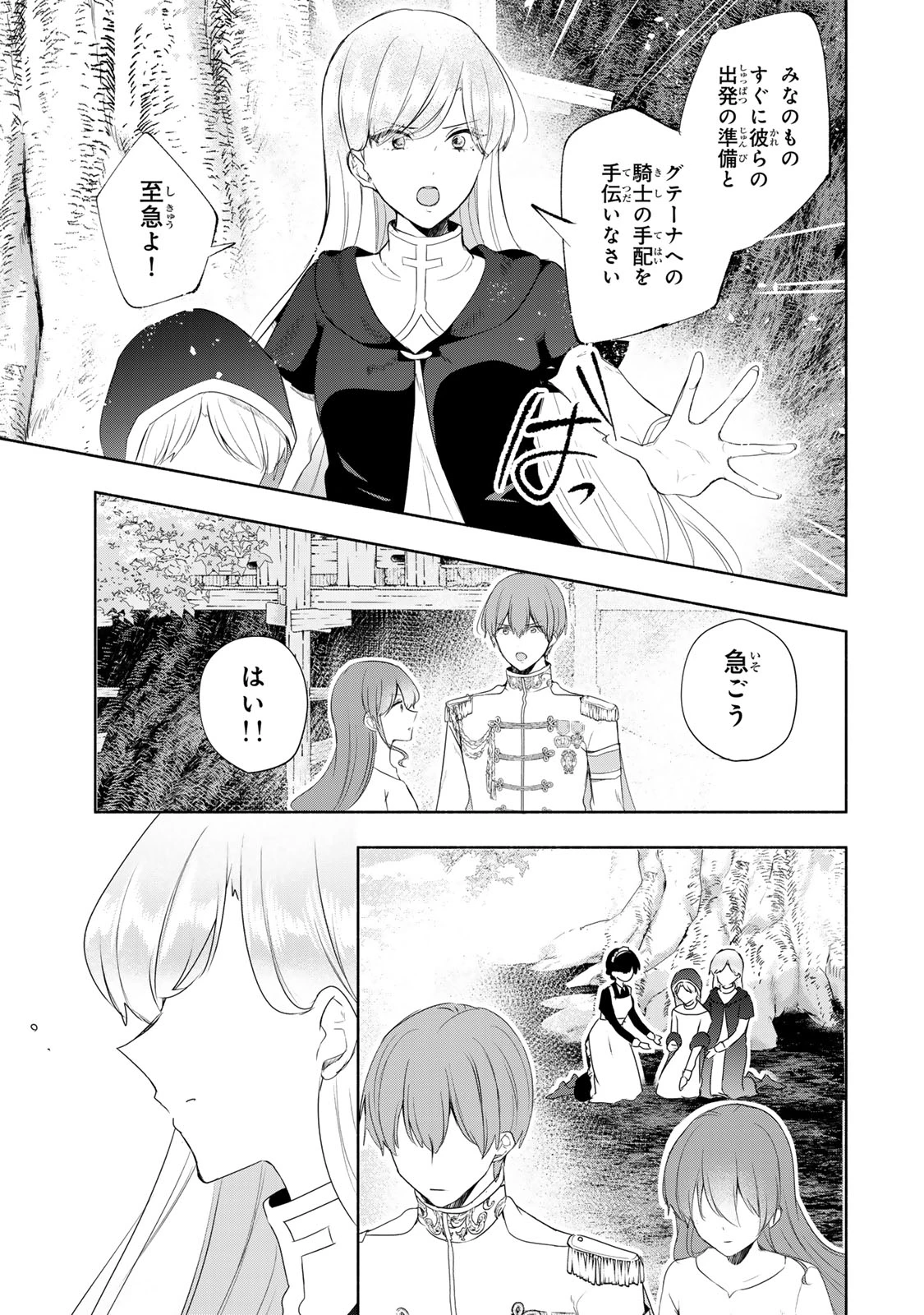 聖女様をお探しでしたら妹で間違いありません。さあどうぞお連れください、今すぐ。 第19話 - 11