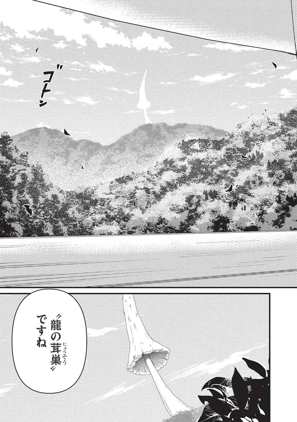 迷宮メトロ ～目覚めたら最強職だったのでシマリスを連れて新世界を歩く～ 第44話 - 5