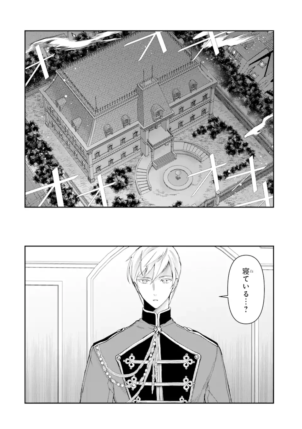 「君を愛することはない」と言った氷の魔術師様の片思い相手が、変装した私だった 第11.2話 - 1