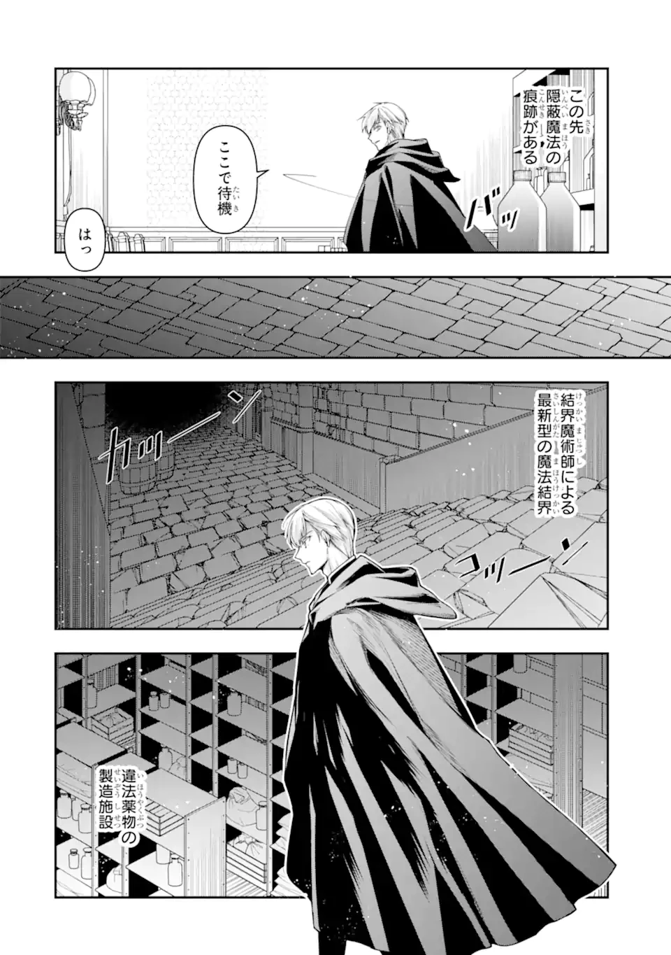 「君を愛することはない」と言った氷の魔術師様の片思い相手が、変装した私だった 第11.2話 - 9