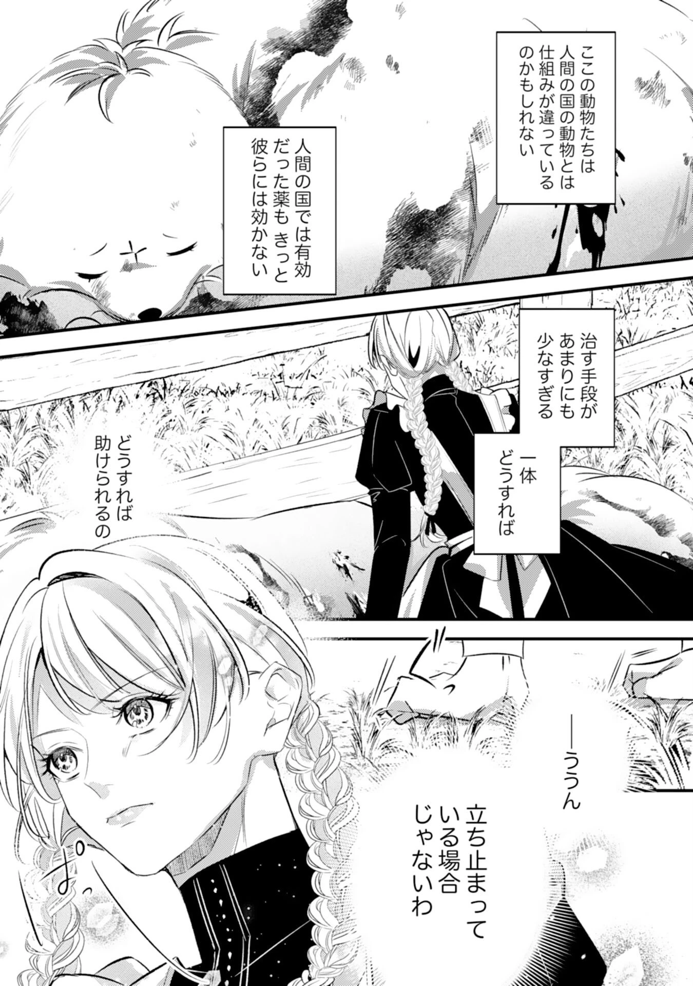 冷酷な狼皇帝の契約花嫁～お前は家族じゃないと捨てられた令嬢が、獣人国で愛されて幸せになるまで～ 第7話 - 9