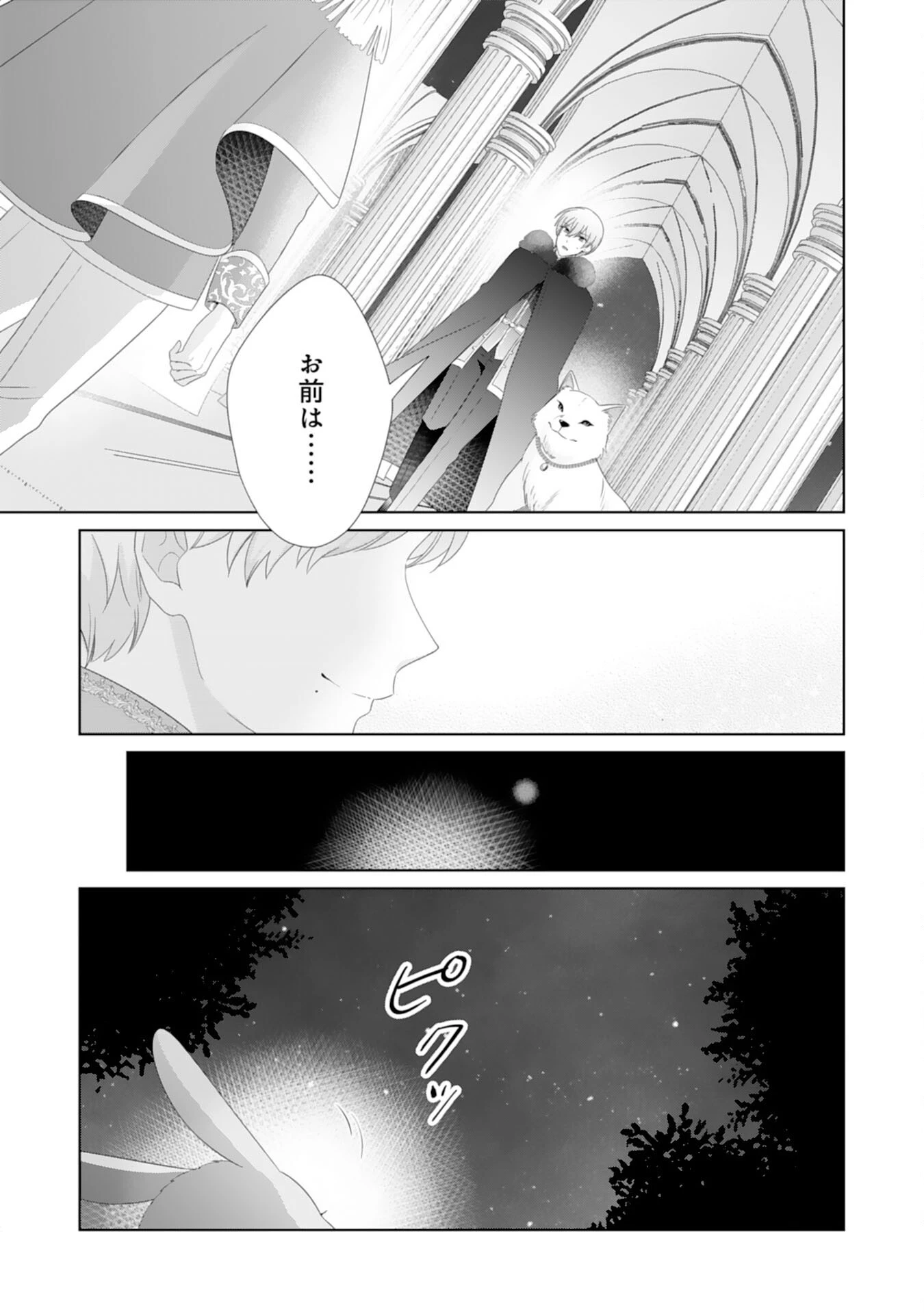 竜王陛下のもふもふお世話係～転生した平凡女子に溺愛フラグが立ちました～ 第14話 - 25