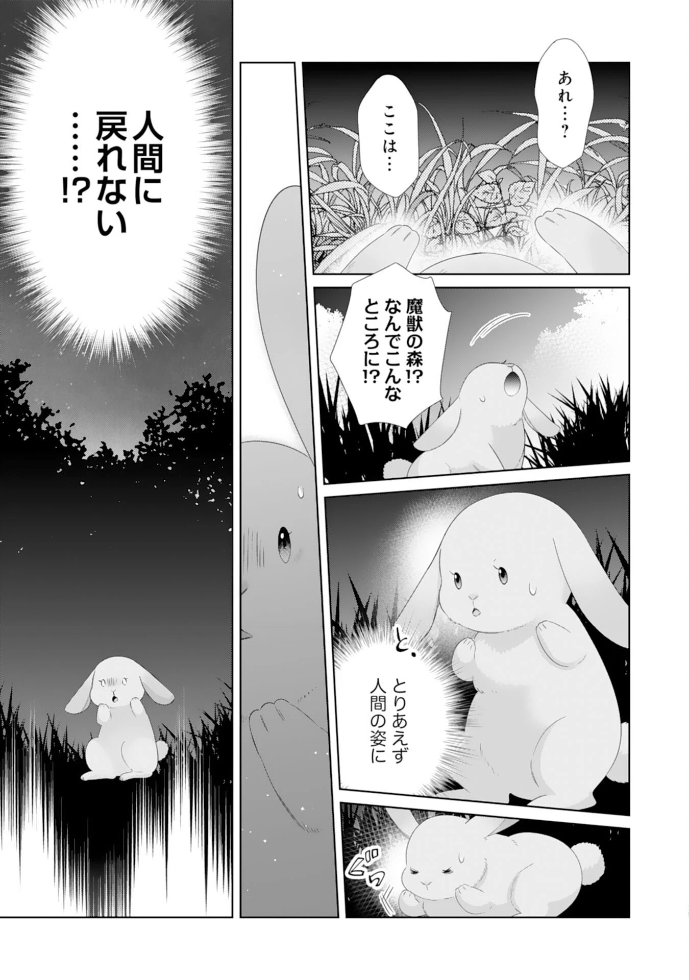 竜王陛下のもふもふお世話係～転生した平凡女子に溺愛フラグが立ちました～ 第14話 - 26