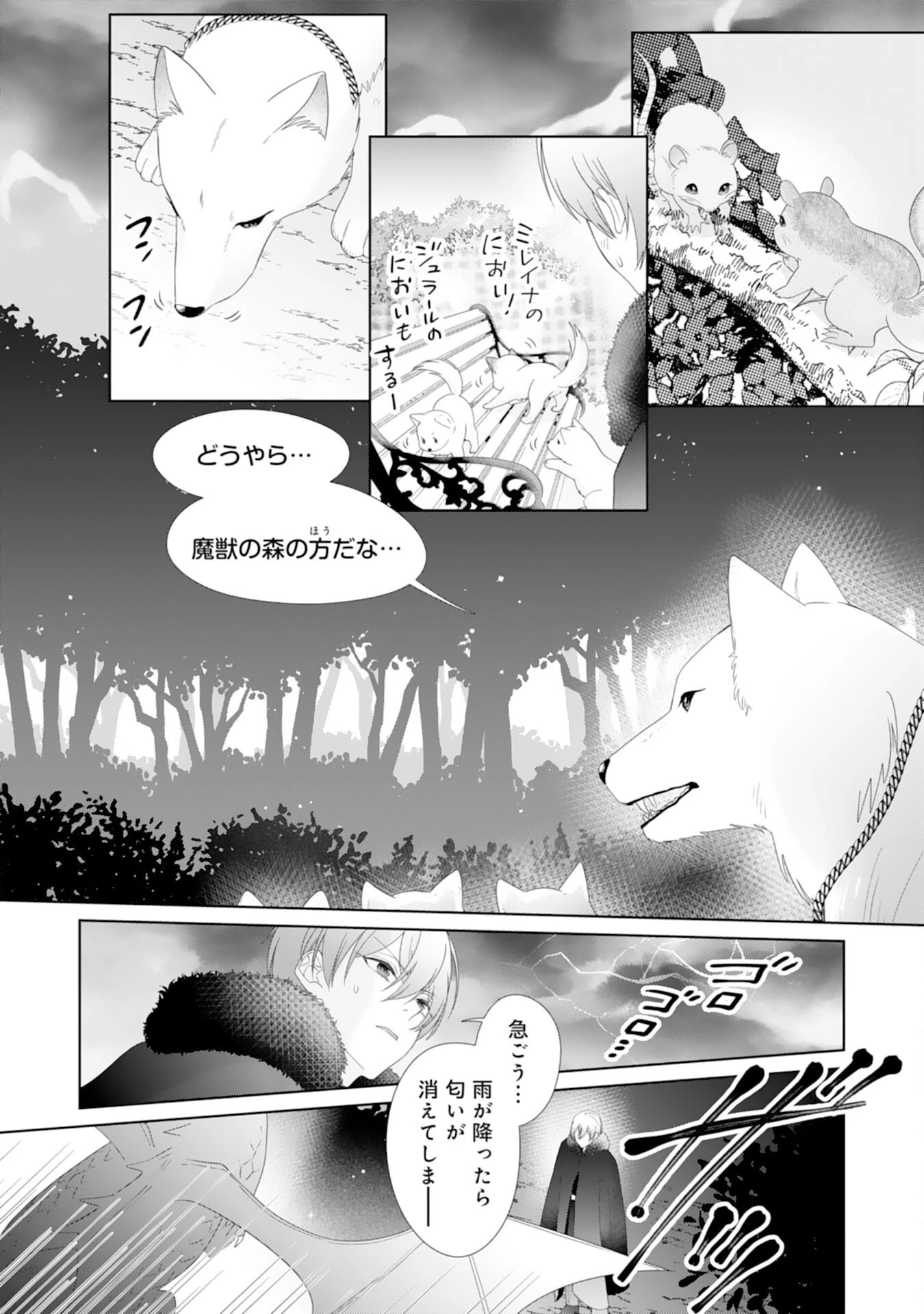 竜王陛下のもふもふお世話係～転生した平凡女子に溺愛フラグが立ちました～ 第14話 - 29