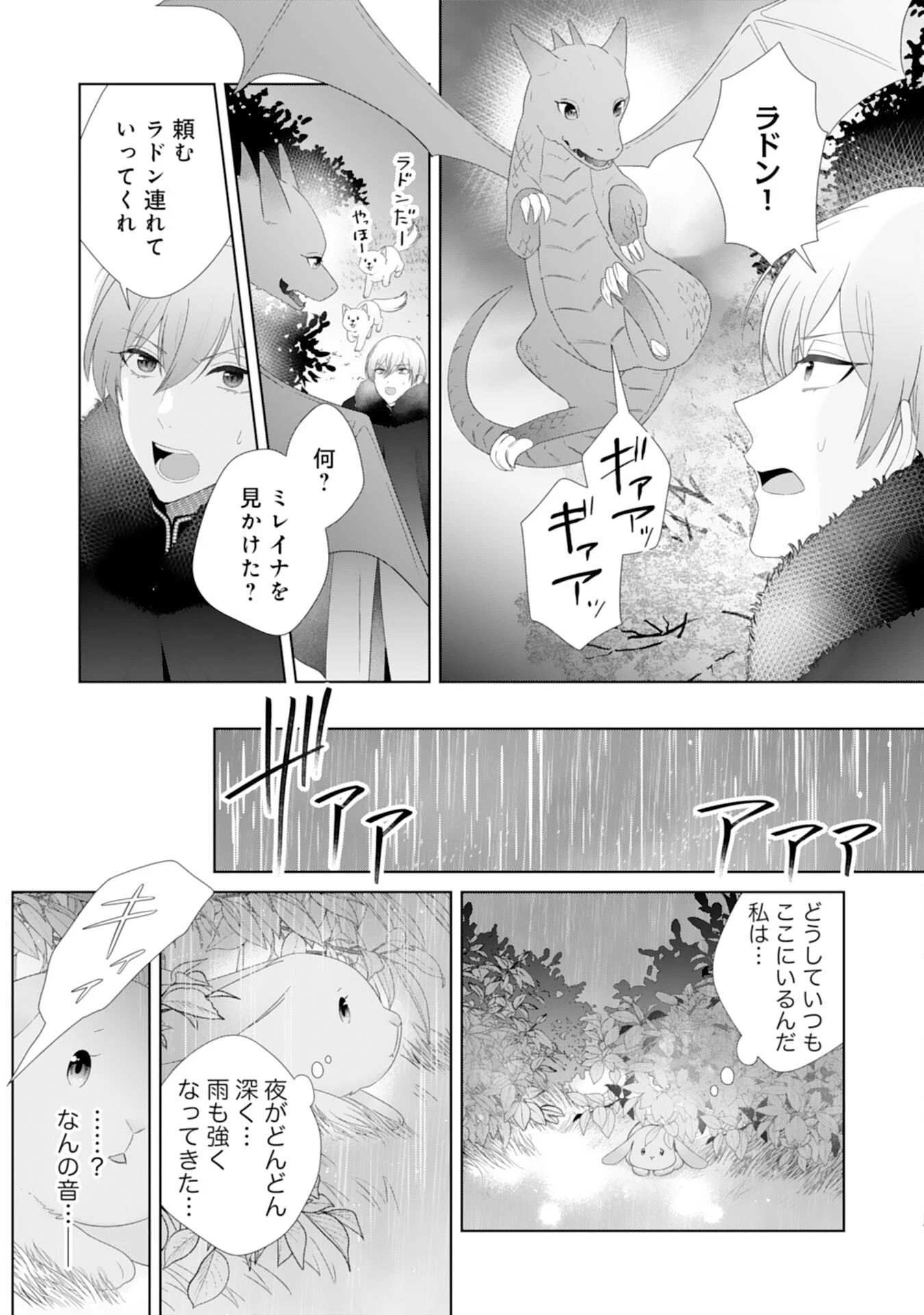 竜王陛下のもふもふお世話係～転生した平凡女子に溺愛フラグが立ちました～ 第14話 - 30