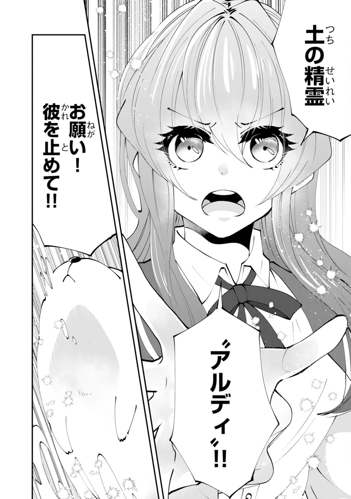 お前呼ばわりで婚約破棄？隣国で自由を謳歌するのでどうぞお構いなく！～追放令嬢、実は最強精霊師でした～ 第2話 - 22