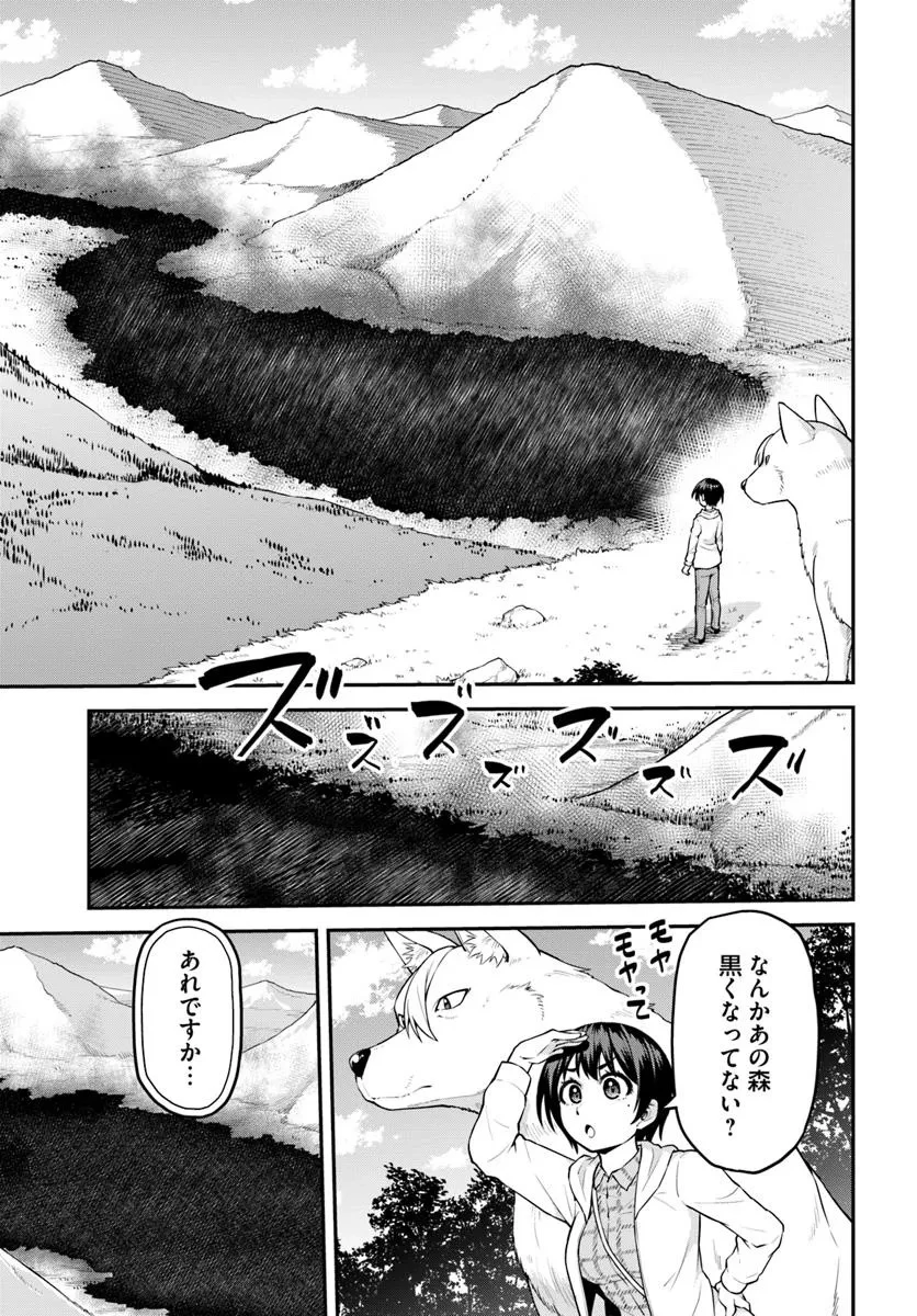 山、買いました 〜異世界暮らしも悪くない〜 第11.2話 - 5