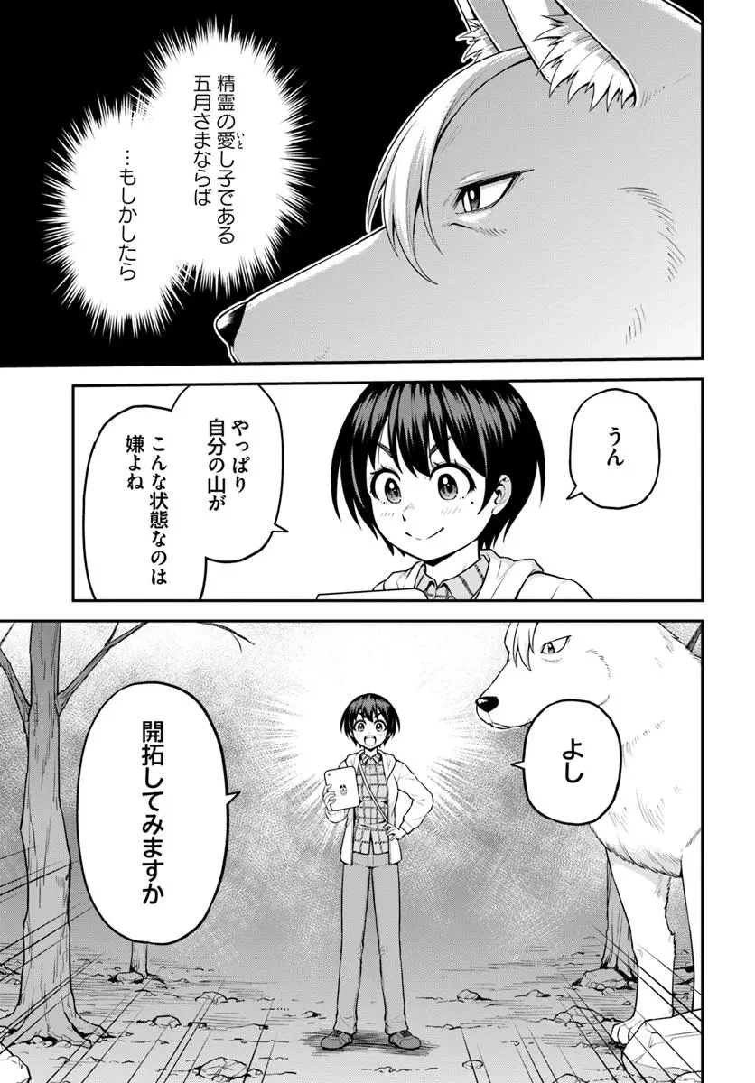山、買いました 〜異世界暮らしも悪くない〜 第11.2話 - 9