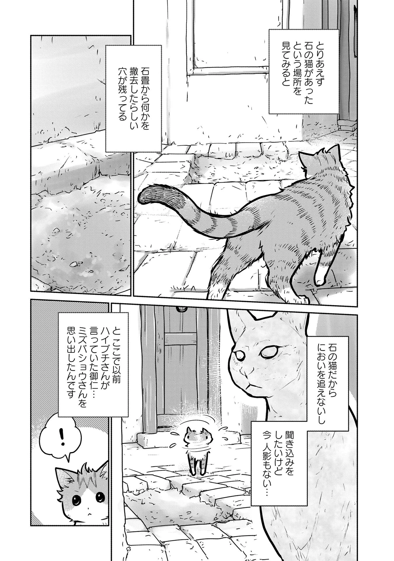 猫と竜 第41話 - 5