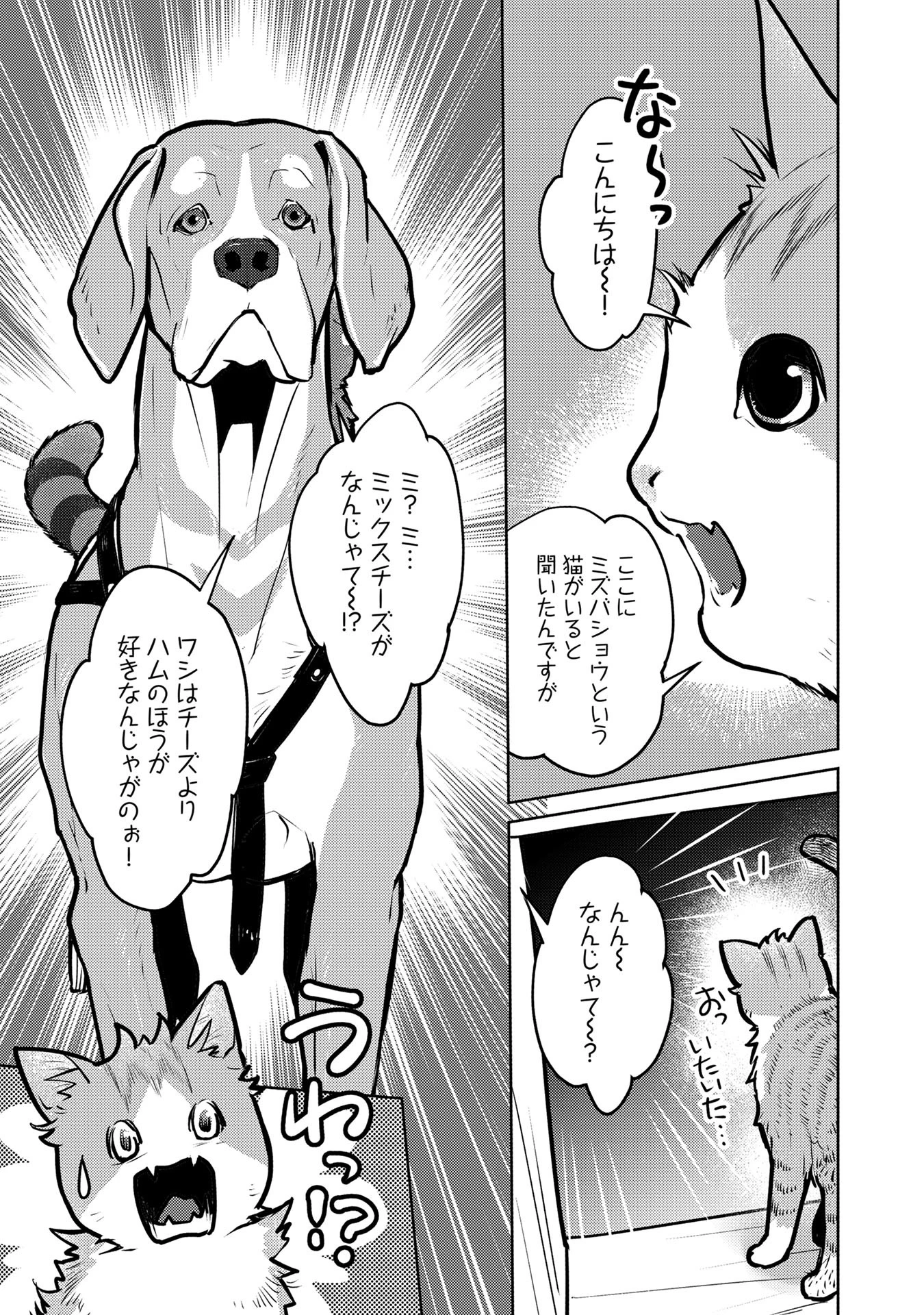 猫と竜 第41話 - 7