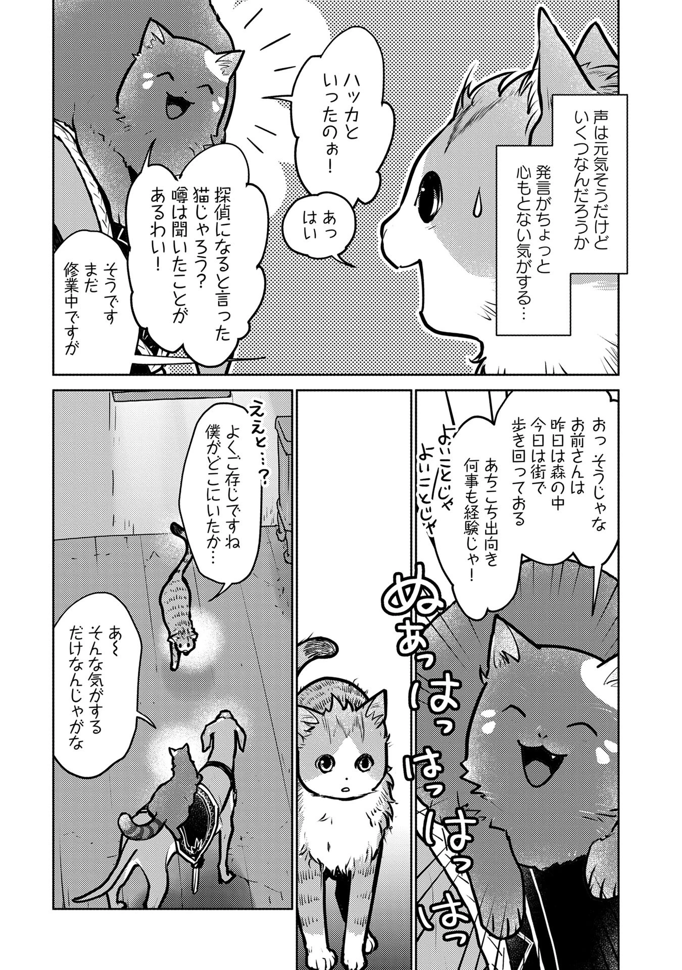 猫と竜 第41話 - 9