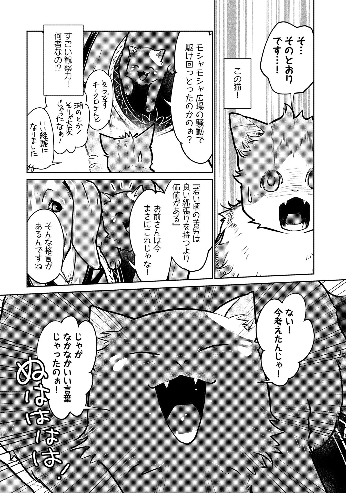 猫と竜 第41話 - 11