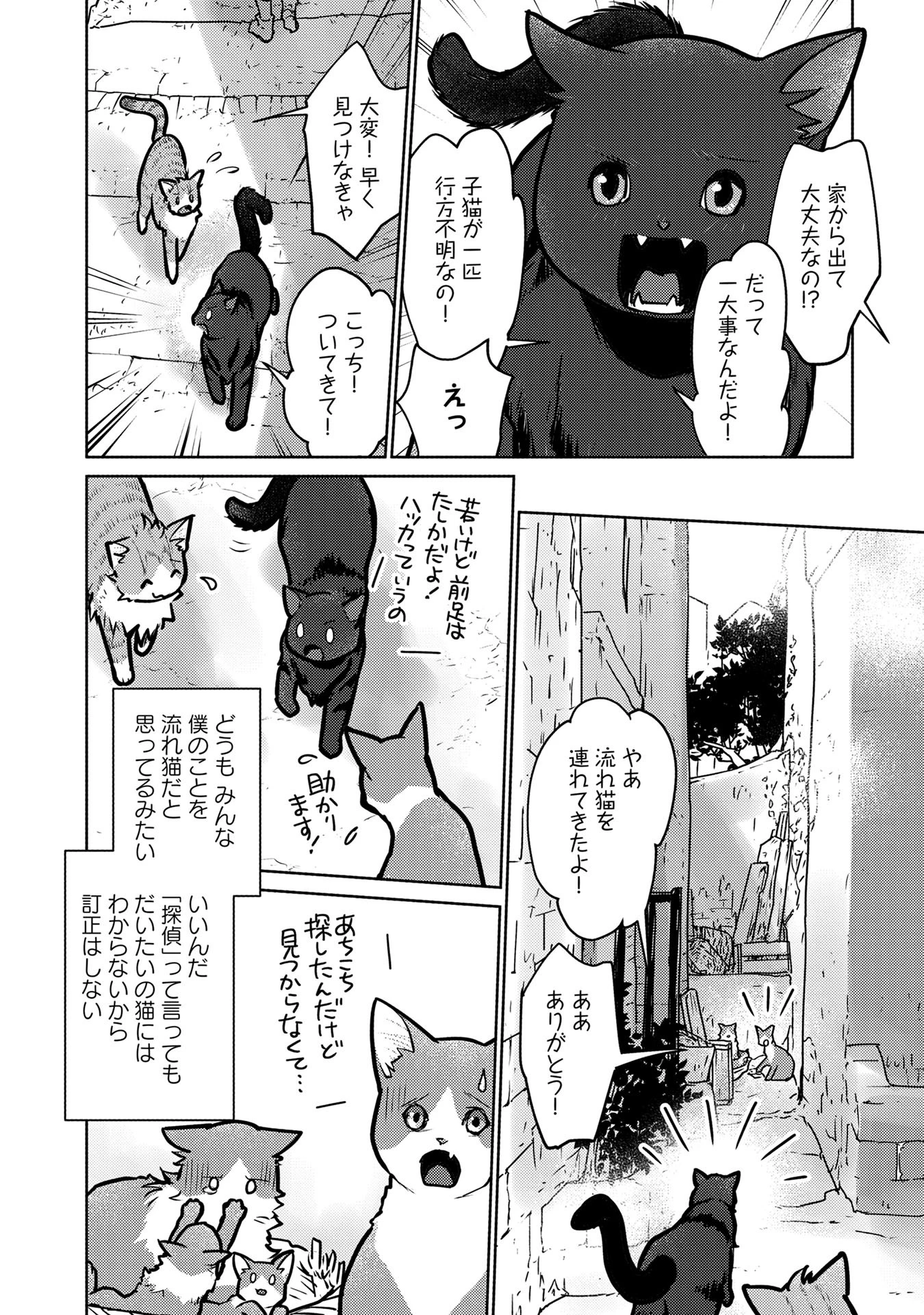 猫と竜 第41話 - 22