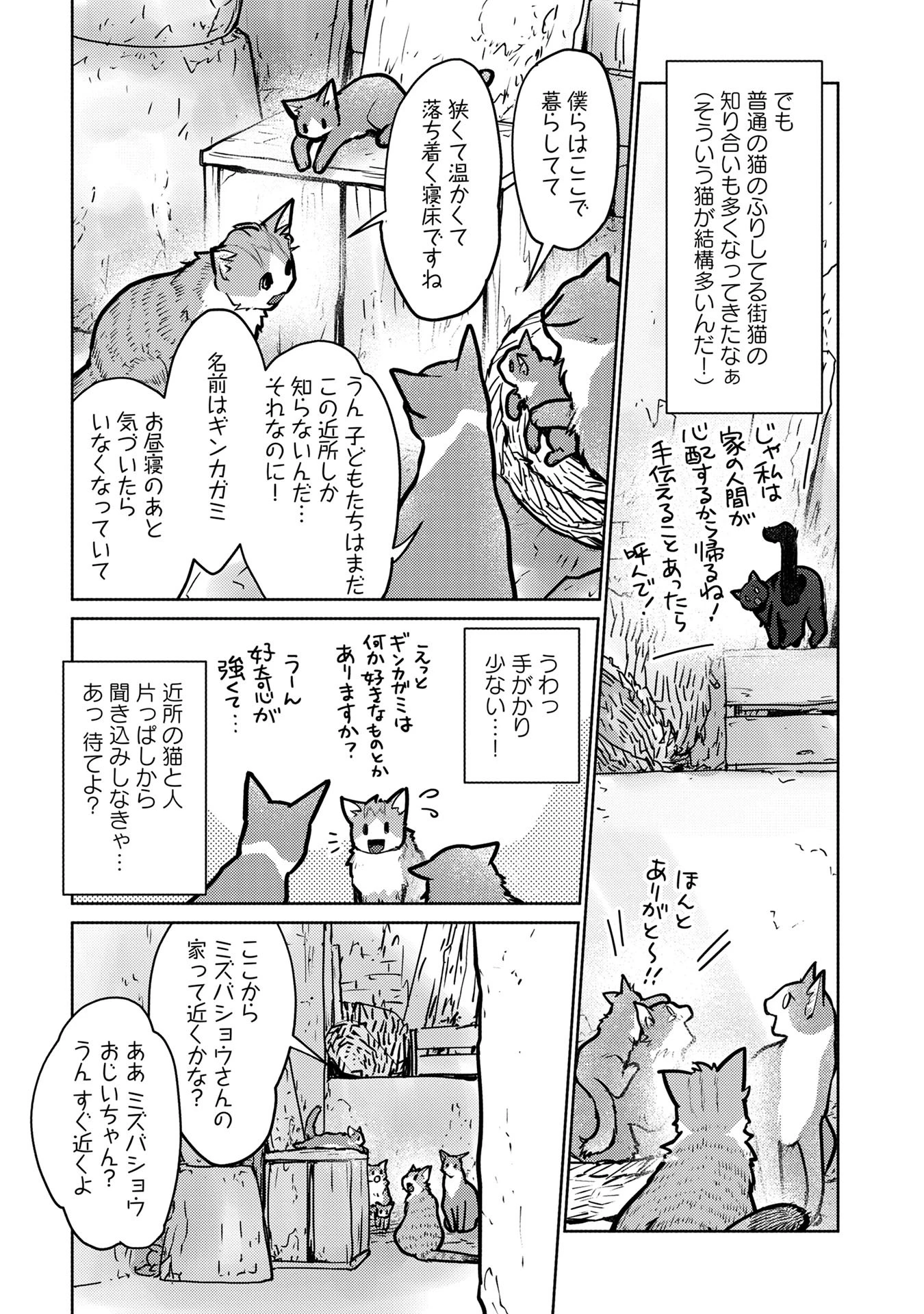 猫と竜 第41話 - 23