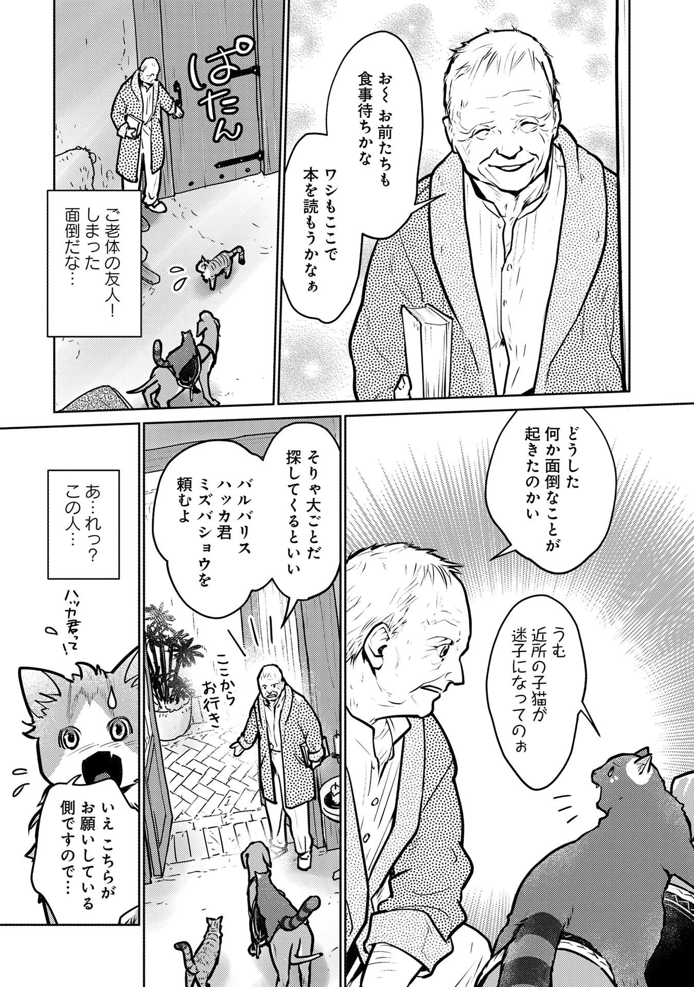 猫と竜 第41話 - 25