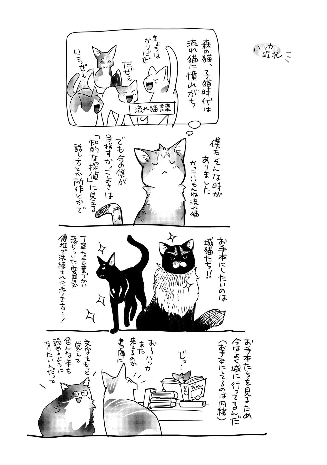 猫と竜 第41話 - 41