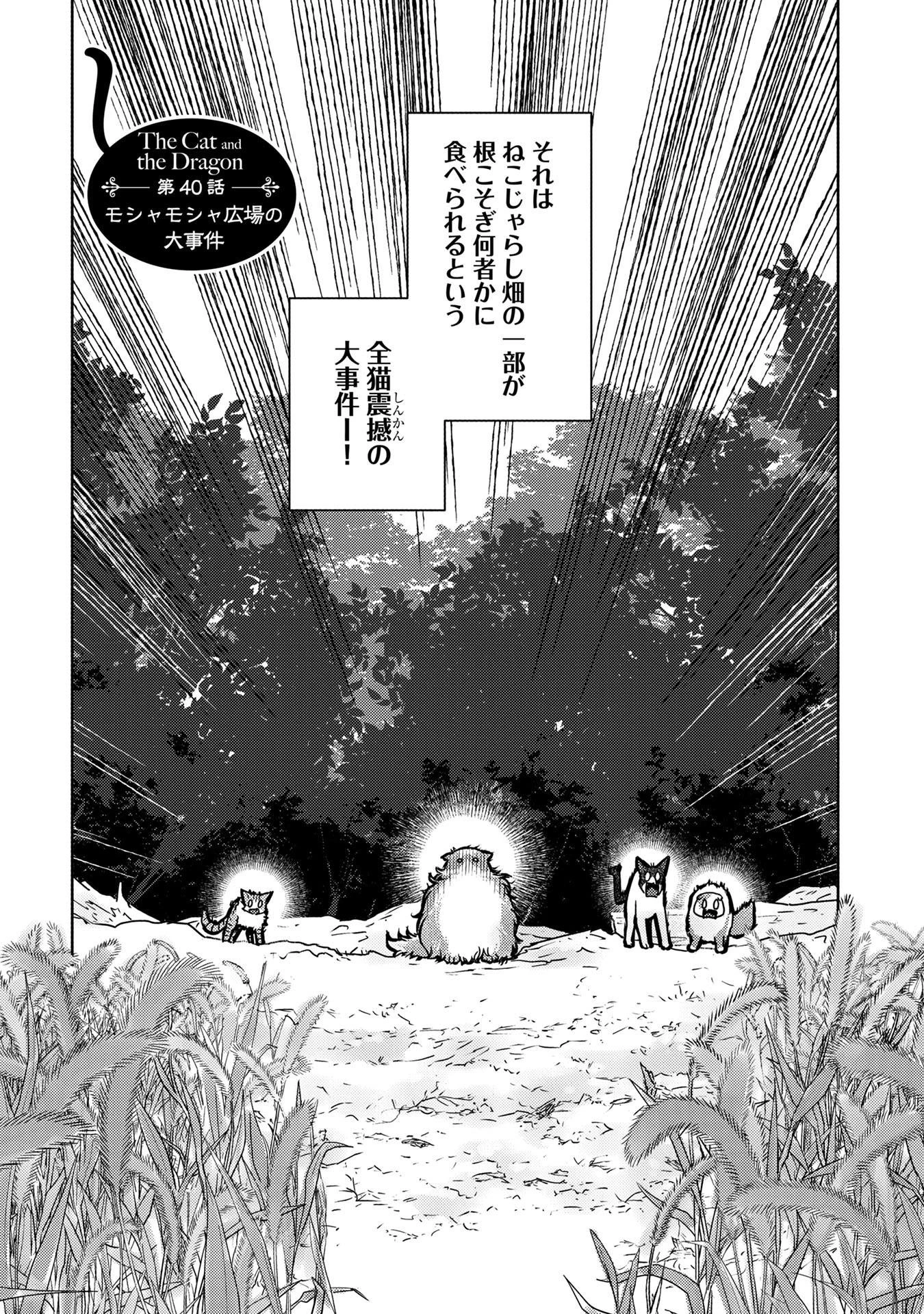 猫と竜 第40話 - 1