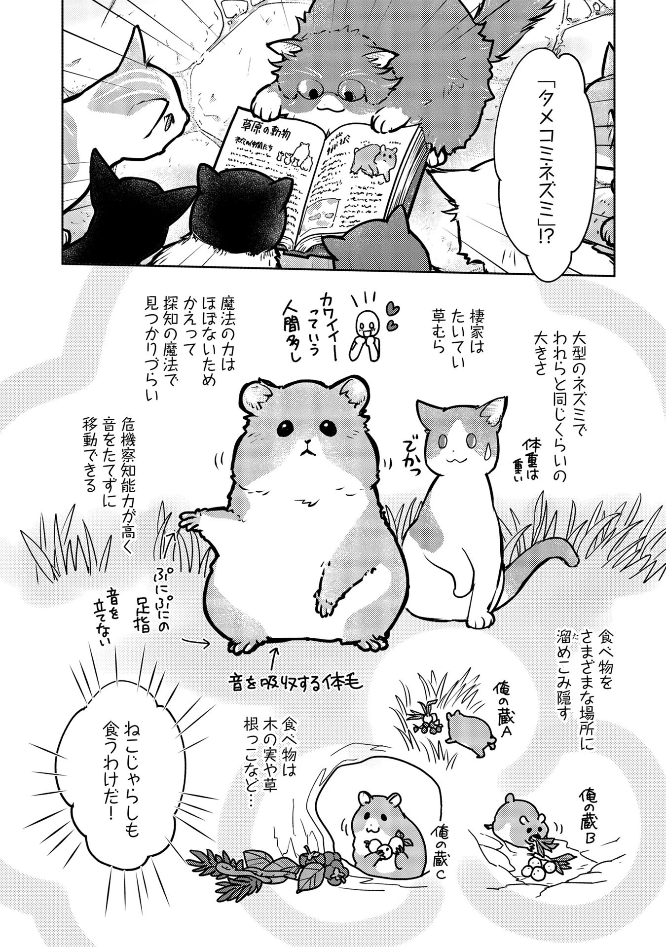 猫と竜 第40話 - 8